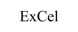 EXCEL