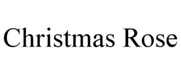 CHRISTMAS ROSE