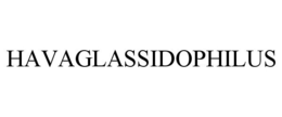HAVAGLASSIDOPHILUS
