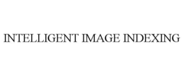INTELLIGENT IMAGE INDEXING