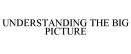 UNDERSTANDING THE BIG PICTURE