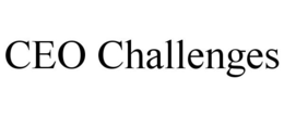 CEO CHALLENGES