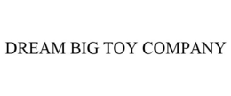 DREAM BIG TOY COMPANY