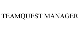 TEAMQUEST MANAGER