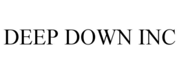 DEEP DOWN INC