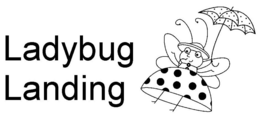 LADYBUG LANDING