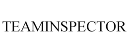 TEAMINSPECTOR