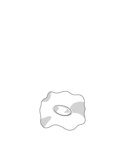77663256