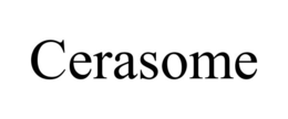 CERASOME