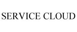 SERVICE CLOUD