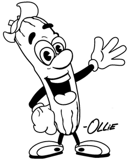 OLLIE