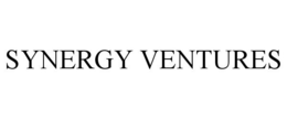 SYNERGY VENTURES