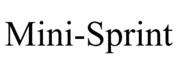 MINI-SPRINT