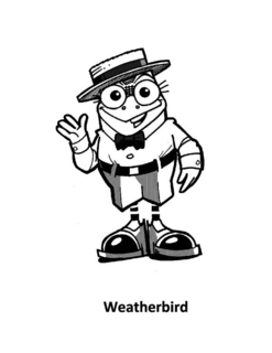 WEATHERBIRD
