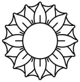 78382229