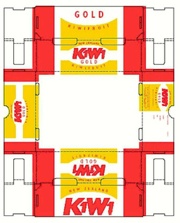 NEW ZEALAND KIWI GOLD KIWIFRUIT