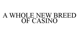 A WHOLE NEW BREED OF CASINO