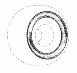 78439535