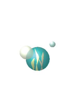 78494453
