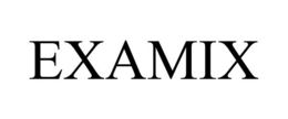 EXAMIX