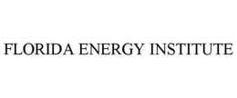 FLORIDA ENERGY INSTITUTE