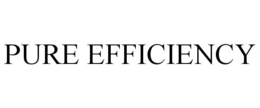 PURE EFFICIENCY