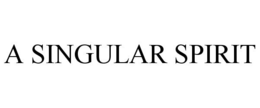 A SINGULAR SPIRIT