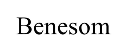BENESOM