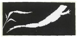 78921582