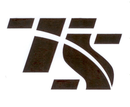 TS