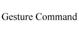GESTURE COMMAND