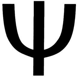 79041217