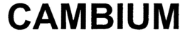 CAMBIUM