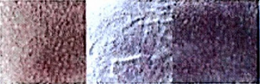79063214