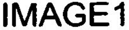 IMAGE1