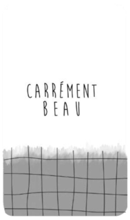 CARRÉMENT BEAU
