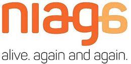 NIAGA ALIVE AGAIN AND AGAIN