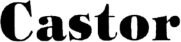 CASTOR
