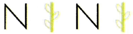 NINI