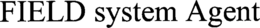 FIELD SYSTEM AGENT