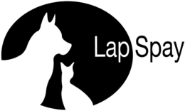 LAP SPAY