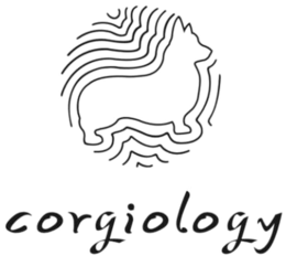 CORGIOLOGY