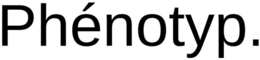 PHÉNOTYP.