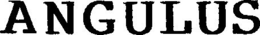ANGULUS