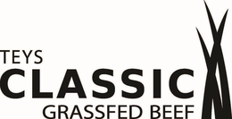 TEYS CLASSIC GRASSFED BEEF