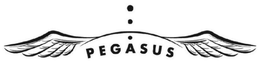 PEGASUS
