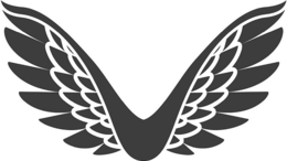 79396613