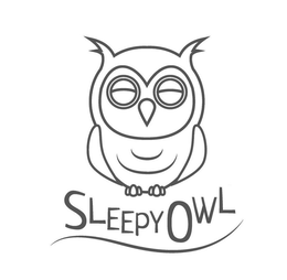 SLEEPY OWL