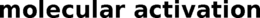 MOLECULAR ACTIVATION