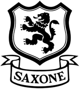 SAXONE